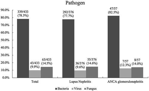 Figure 2. Pathogens of infection for IRH among patients with LN and ANCA glomerulonephritis after intensive immunosuppressive therapy. The determination of pathogen was based on clinical manifestation, therapeutic efficacy of antibiotic agents, etiological examination, or image-based diagnosis. Lupus nephritis vs. ANCA glomerulonephritis: bacteria: p = .413; virus: p = .524; fungus: p = .906, respectively. IRH: infection-related hospitalization.