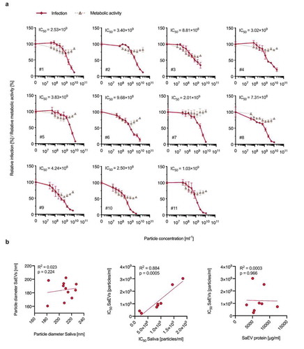Figure 10. Anti-ZIKV activity of saEVs is donor-dependent. (a) Vero E6 cells were inoculated with serially diluted saEV preparations from 11 individual donors (see Figure 8 and S4) and treated with medium to determine effects on viability or infected with ZIKV MR766 (MOI 0.3). 2 hours post-inoculation, medium was changed and 2 days later cell viability or infection rates were determined by MTT-based or a cell-based immunodetection assay, respectively. Inhibition curves were used to calculate IC50. Infection data are normalized to infection rates in the absence of the respective sample and represented as average values obtained from triplicate infections ± standard deviations. Viability data are normalized to metabolic activity in the absence of saliva. (b) Correlational analysis of the saEV and saliva particle diameter (left), or the saEV and saliva IC50s (in particles per ml, see Fig. S5) (middle) or the saEV protein concentration (right). Pearson correlation coefficients, two-tailed p-value.