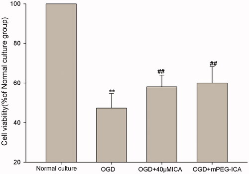 Figure 7. Cell viability in OGD-induced H9c2 cells were measured by MTT assay. OGD: oxygen-glucose deprivation; ICA: icariin. Data are mean ± SD. **p < 0.01 vs normal culture; ##p < 0.01 vs OGD.