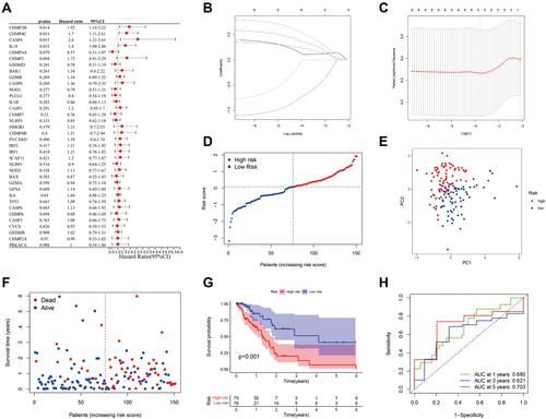 Figure 2 Establishment and prognostic efficacy of the prognostic risk model. (A) The OS time of 36 pyroptosis-associated genes and six genes with P<0.2 was analyzed via Univariate Cox regression analysis. (B) LASSO regression of the six OS-related genes. (C) Cross-validation for tuning the parameter selection in the LASSO regression. (D) Distribution of PAAD patients in the TCGA cohort according to the median risk score. (E) PCA plot for PAAD patients according to the risk score. (F) Patient survival status distribution in the high-risk and low-risk groups (Blue dot: Alive, Red dot: Dead). (G) Kaplan–Meier OS analysis of PAAD patients between the high-risk and low-risk groups. (H) Prognostic value of the risk score shown via ROC curve.