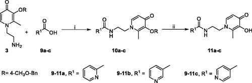 Scheme 4. Synthetic route of compounds 11.a aReaction conditions: (i) (1) 9a–c, DCC, DMAP, 2-mercaptothiazoline, DCM, r.t., 24 h; (2) 3, DCM, r.t., 24 h. (ii) BCl3, anhydrous DCM, −48 °C to r.t., 12 h.