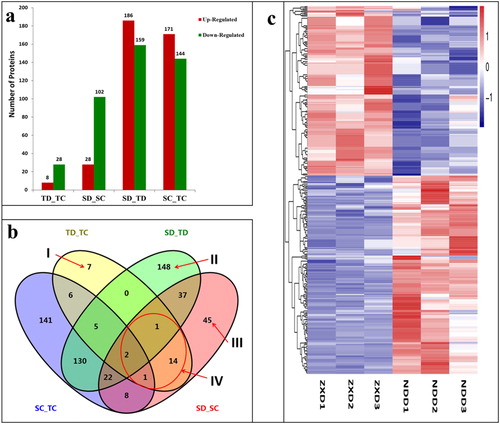 Figure 2. Analysis of differentially abundant proteins (DAPs) identified in four experimental comparisons. (a) Total number of DAPs identified in each experimental comparison group. Red (up-regulated) means DAPs with increased differential abundance. Green (down-regulated) means DAPs with decreased differential abundance; (b) Venn diagram analysis of DAPs identified in the four comparisons. DAPs uniquely expressed in TD_TC (I), SD_TD (II), SD_SC (III) are indicated with arrows. Area IV shows 18 overlapping DAPs within line. Overlapping regions of the Venns indicate DAPs shared between/among corresponding groups. (c) Clustering analysis of DAPs in SD_TD comparison. Each row represents a significantly abundantly expressed protein. ZXD1-3 (drought-sensitive ZX 978, S; drought, D) refer to the biological replicate number for ZX 978, whilst NDD1-3 (drought-tolerant ND 476, T; drought, D) refer to the replicate number for ND 476. The DAPs were clustered based on the differentially expressed levels. The scale bar indicates the logarithmic value (log2 fold change) expression of the DAPs. Red (log2 fold change > 0) indicates up-regulated DAPs and blue (log2 fold change ＜ 0) indicates down-regulated DAPs.