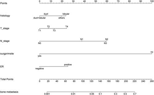 Figure 2 The nomogram to predict BCBM. Five independent risk factors were used to construct the nomogram; the total point can be obtained by summing the scores of each variable, and the probability of BCBM for each patient can be predicted.