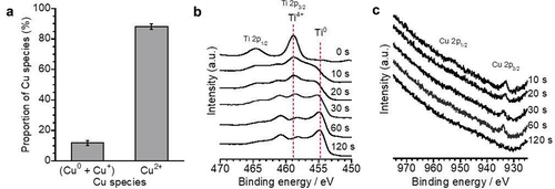 Figure 3. The proportion of Cu species calculated from Cu 2p energy region spectrum of Cu10 (a). Ti 2p (b) and Cu 2p (c) energy region spectra obtained from Cu10 before and after sputtering during 0 to 120 s.