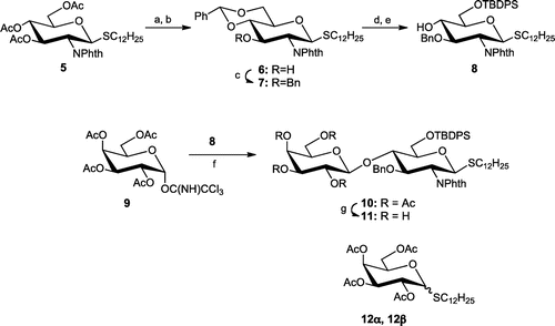 Scheme 2. Synthesis of disaccharide 11.Note: Reagents and conditions: (a) NaOMe, MeOH; (b) PhCH(OMe)2, p-TsOH, 78% (2 steps); (c) BnBr, NaH, DMF, 0 °C-rt, 86%; (d) camphorsulfonic acid, CH2Cl2-MeOH; (e) TBDPSCl, imidazole, DMF, 69% (2 steps); (f) TMSOTf, CH2Cl2, −20 or −78 °C; (g) NaOMe, MeOH, 60% (2 steps).