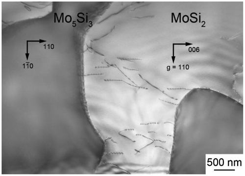 Figure 3. Grown-in dislocations in a binary DS eutectic composites grown at a rate of 100 mm h–1.