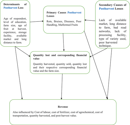 Figure 2. Conceptual framework on the linkage between post-harvest losses and the determinants, the quantity loss and the corresponding financial value, and the effects of post-harvest loss on the revenue of producers.