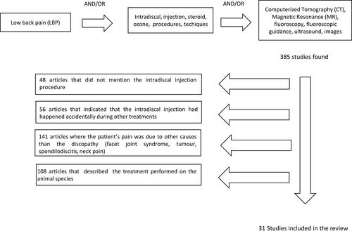 Figure 1 Flow diagram illustrating published literature on intradiscal injection.