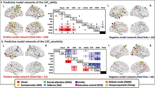Figure 8. Positive and negative predictive networks of the individual’s ability of CAT solving. the positive (left) and the negative (right) predictive model networks are superimposed on a volume rendering of the brain with a lateral and medial views for (a) CAT_ability and (b) CAT_sensitivity values. For descriptive display purposes, the size of the nodes is proportional to their degree, and we indicate the highest degree nodes with arrows. The color of the nodes and arrows represent the functional network they belong to and are color coded as indicated at the bottom of the figure (brown frame). For the (a) CAT_ability and (b) CAT_sensitivity values, the matrix represents the number of links within the model network occurring within and between the eight intrinsic brain networks. In red colors are presented the number of links that belong to the positive network and in blue are the links of the negative network. SM: somatomotor network, DAN: dorsal attention network, Sal: salience network, ECN: executive control network, DMN: default mode network, Temp: temporoparietal network.