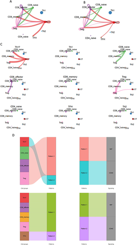 Figure 4 (A) Global intercellular communication among nine T cell subsets based on number of interactions. The line width represents the intensity. (B) Global intercellular communication among nine T cell subsets based on the strength of interaction. (C) The communication intensity from each T cell subsets to other subsets. (D) Two major incoming and outgoing communication patterns identified involved in T cell communication.