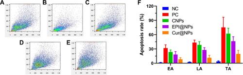 Figure 8 The effects of (A) NC, (B) PC, (C) CNPs, (D) EPI@NPs and (E) Cur@NPs on cell cycle in MCF-7 cells. (F) The effects of different NPs on MCF-7 cell apoptosis.