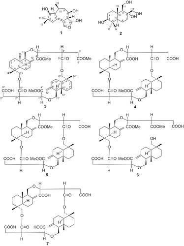 Scheme 1. Structures of compounds 1–7.