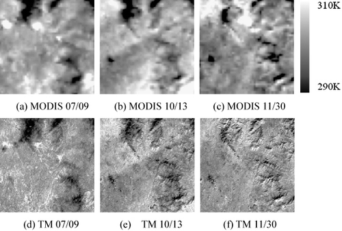 Figure 4. The actual Landsat and MODIS LST. (a), (b), and (c) are the MODIS LSTs on July 9, October 13, and November 30, 2002, respectively. (d), (e), and (f) are the Landsat TM LSTs on July 9, October 13, and November 30, 2002, respectively.