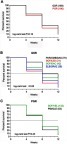 Figure 2 Kaplan–Meier curves of cumulative undetectable HCV RNA levels in patients according to GSR vs PGR (A) or in patients grouped as having GSR (B) or PGR (C). p-values were obtained using the log-rank test.