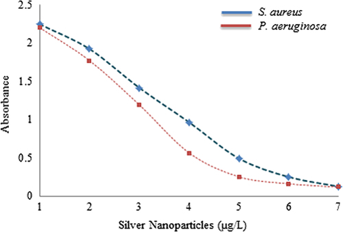 Figure 6. Biofilm inhibition activity of silver nanoparticles against S. aureus and P. aeruginosa.