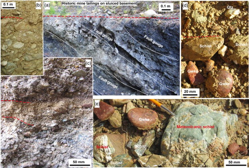 Figure 3. Schist basement and Blue Spur Conglomerate at outcrops in the modern mining area at Waitahuna Gully. A, Outcrop of a strand of the Tuapeka Fault Zone in schist basement, with dark gouge zones. B–D, Conglomerate with crude bedding (partially indicated with dashed line) defined by clast size differences. E, Coarse clasts in conglomerate showing differential oxidation.