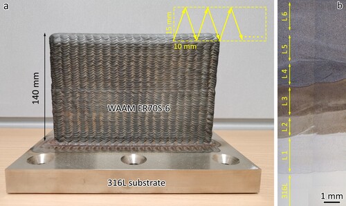 Figure 1. (a) A photo showing the appearance of the WAAM-built ER70S-6 on 316L substrate (the insert showing the zig-zag building strategy); (b) macrostructure of the WAAM-built ER70S-6 on 316L substrate.