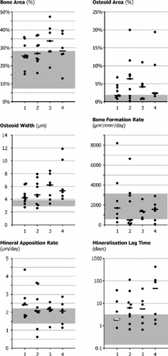 Figure 4 Bone histomorphometric results. Dots represent individual animals, the horizontal bar indicates median values. Normal values are indicated by the gray background. No statistically significant differences were noted between treatment groups. However, a trend toward increased mineralization lag time and osteoid maturation time, combined with higher osteoid area and lower bone formation rate is visible in the phosphate-binder-treated groups. Based on the histomorphometric and biochemical data, each individual animal was also classified according to the type of renal osteodystrophy (see Figure 5). Treatment groups: 1: Vehicle; 2: Sevelamer 500 mg/kg/day; 3: Sevelamer 1000 mg/kg/day; 4: Lanthanum carbonate 1000 mg/kg/day.