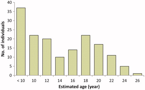 Figure 7. Estimation of age distribution of the individuals using the regression equation. The saplings shorter breast height were included in the class “less than 10 cm”.
