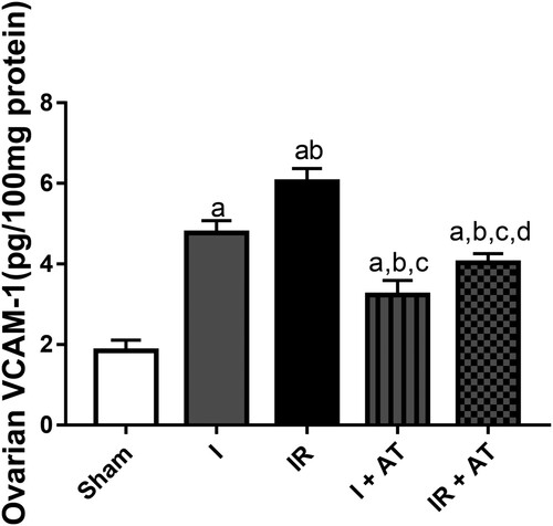 Figure 6. Effect of atorvastatin on vascular cell adhesion molecule (VCAM) in ovarian I/R animal model. Data are presented as mean ± SD of 8 replicates per group. I: Ischaemia, I/R: Ischaemia/reperfusion, AT: Atorvastatin. a p < 0.05 versus sham, bp < 0.05 versus I, cp < 0.05 versus IR, dp < 0.05 versus I+ AT using one-way analysis of variance (ANOVA) followed by Tukey's post hoc test for pairwise comparison.