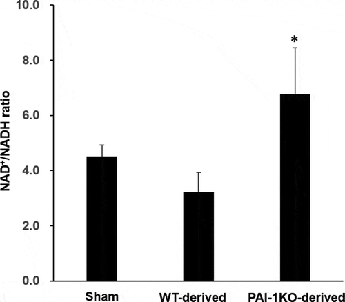 Figure 4. Transplantation of scWAT from PAI-1KO mice increases the NAD+/NADH ratio in cardiac muscle. The total intracellular NAD+/NADH ratio of heart tissues was measured from sham, WT, and PAI-1KO transplanted mice. Bars are the means±SEM; n = 6 mice per group. *P < 0.05 vs. WT transplanted and sham