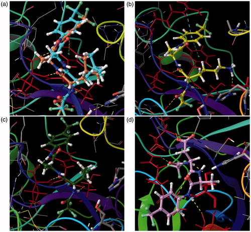 Figure 2. Extra precision Glide docking showing the binding mode of inhibitors onto PPE: (a) Overlay of docked pose of inhibitor 2 (light grey/cyan in color) with its crystal structure conformation (grey/brown in color) confirming the validation of the docking protocol, (b) inhibitor-1 (grey/yellow in color) forming five H-Bonds (D102/G193/S214/2 × V216), one π–π stacking interaction (F215), and one cation-π interaction (R217A), (c) inhibitor-3 (dark grey/dark green in color) forming three H-Bonds (S214/2 × V216), and (d) inhibitor-4 (grey/magenta in color) forming five H-Bonds (T41/Q192/G193/S195/V216); in all four panels white/yellow in color dashed lines represent H-Bonds, grey/green in color dashed lines represent π–π stacking interactions and light grey/cyan in color dashed lines represent cation-π interactions.