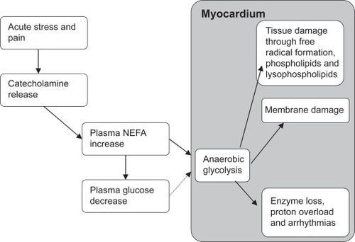 Figure 1 Effects of glucose and fatty acids on myocardial ischemia and arrhythmias.