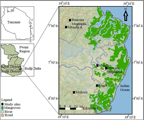 Figure 1. Map of the Rufiji Delta showing the study area and the location of the studied villages (Source: Nyangoko et al., Citation2021).