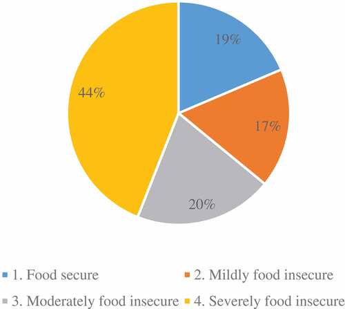 Figure 1. Household food security prevalence (n = 564).