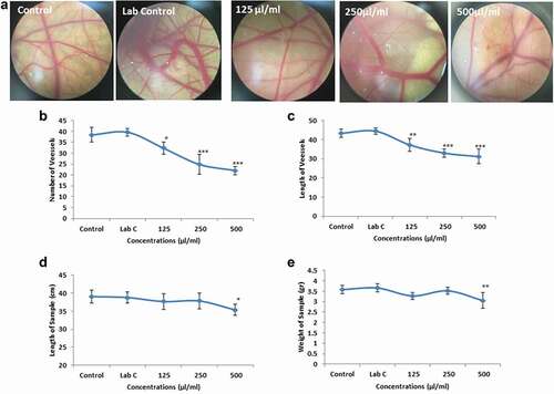 Figure 6. Evaluation of anti-angiogenic effects of AKO-NE by cam method which showed a decrease in the average length and number of blood vessels in all three concentrations and a decrease in foetal height and weight at a concentration of 500 μL/mL (*P < 0.05, **P < 0.01 and ***P < 0.001).