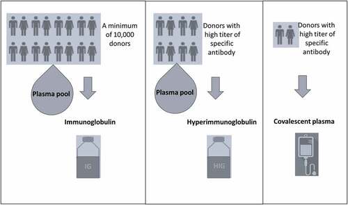 Figure 1. Immunoglobulin, hyperimmunoglobulin and convalescent plasma preparation