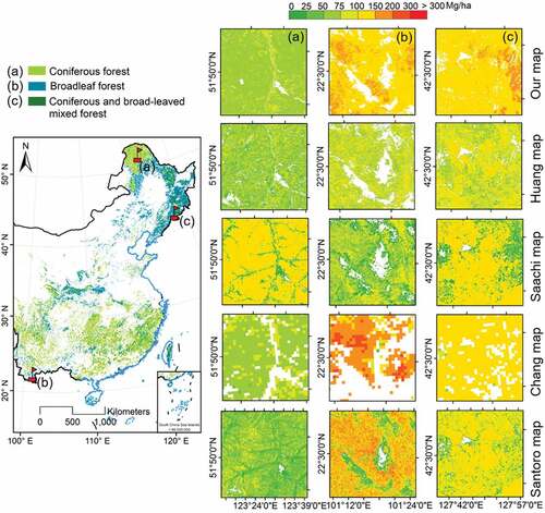 Figure 10. Spatial details of AGB estimates of different AGB maps in three sites.