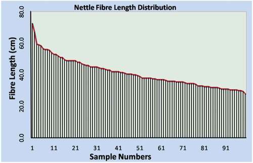 Figure 5. Nettle fiber length distribution.