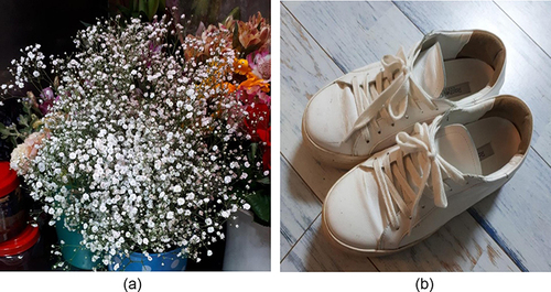 Figure 1 (a) Baby’s breath making other flowers stand out; (b) Sneakers that help you walk comfortably.