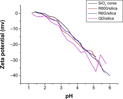 Figure 6 Zeta potential titration of silica cores, Rhodamine 6G/Silica, Rhodamine 800/Silica, and quantum dots/silica.Notes: Similar values for all three indicate that dye particles are completely encapsulated within a silica shell. IEP values were 1.91 for commercial silica, 1.34 for Rhodamine 6G/silica, and 1.70 for Rhodamine 800/silica. Quantum dots/silica did not cross the IEP.Abbreviations: SiO2, silicon dioxide; QD, quantum dots; R, Rhodamine; IEP, isoelectric point.
