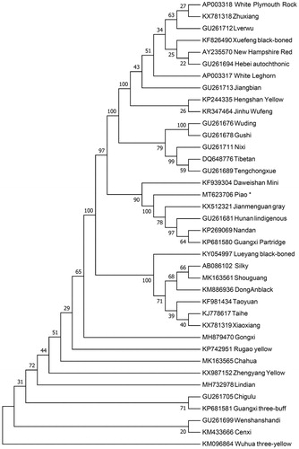 Figure 1. Neighbor-joining tree based on the complete mitochondrial DNA sequence of 38 chicken breeds. GenBank accession numbers are given before the species name.