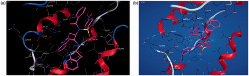 Figure 2. (a, b) Binding interactions of the amino acid residues of the proteins – 1EQG and 1CX2, respectively, with compound 17c.