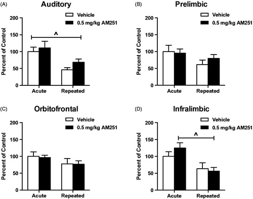 Figure 8. Low dose CB1 receptor antagonism does not alter responses of cortical neural activity in rats habituated to loud noise stress. (A) Auditory cortex and (D). Infralimbic cortex c-fos mRNA were measured to significantly habituate after 8 loud noise stress exposures (^p < 0.001, two-way ANOVA). (B) Prelimbic and (C). Orbitofrontal (C) cortex c-fos mRNA did not significantly habituate to repeated loud noise stress (p > 0.05, two-way ANOVA). Low dose CB1 receptor antagonism did not alter c-fos mRNA responses in rats habituated to loud noise stress in any of these cortical regions (p > 0.05, planned t-test comparisons).