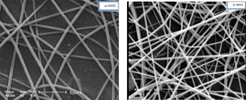 Figure 1 SEM photographs of electrospun nanofibers without drug and with 10% w/w drug loaded: A, B) PVA; C, D) PVAc; E, F) a 50:50 blend of PVA/PVAc; G, H) effect of drug loading on appearance of PVA/PVAc blend nanofiber mats.Abbreviations: CipHCl, ciprofloxacin HCl; PVA, polyvinyl alcohol; PVA/PVAc, polyvinyl acetate.