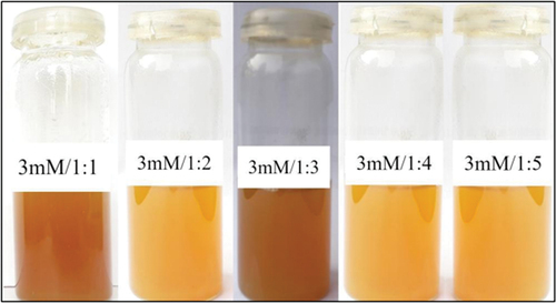 Plate 10. Reaction mixtures with 3mM reagent concentrations and five different extract volumes after placing them for incubation at 60°C for 4h.