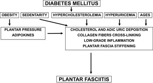 Figure 1 Proposed pathogenic mechanisms for the development of plantar fasciitis in diabetic patients.Abbreviation: AGES, Advanced glycation end products.