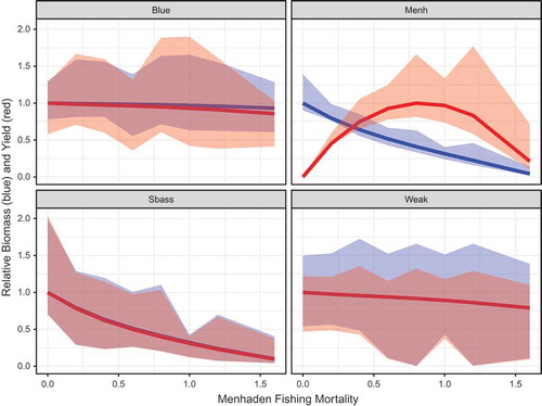 FIGURE 9. Simulated relative biomass and fishery yields of key trophic groups over a range of fishing mortality rate scenarios for medium-stanza Atlantic Menhaden (Fmed.menh). Relative biomass (in blue) was calculated in reference to the scenario of Fmed.menh = 0/year, and relative yield (in red) was calculated relative to the group’s maximum value. Panels represent Bluefish (Blue), Atlantic Menhaden (Menh), Striped Bass (Sbass), and Weakfish (Weak) values for all stanzas (small, medium, and large) combined. Colored shading depicts the 90% interquantile range (which excludes the upper and lower 5%) of Monte Carlo runs at each level of F.