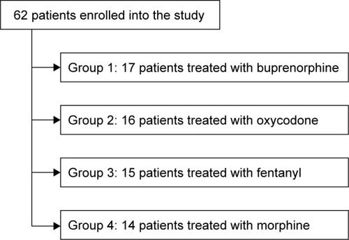 Figure 1 The number of patients in particular patient groups.