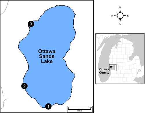 Figure 1. Left: outline of Ottawa Sands Lake and the 3 sampling sites. Right: location of lake within Ottawa County and the lower peninsula of Michigan, USA.