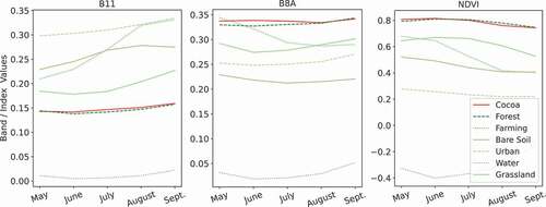 Figure 3. Median values of each land cover type in each month. While Band 11 and NDVI do not show a good separability between the cocoa and forest classes, Band 8A suggests that these classes may be separable.