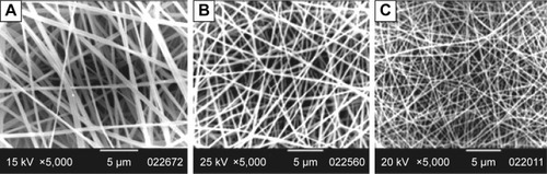 Figure 5 SEM micrographs of 20% (w/v) EL-NF with different loaded KET concentrations, (A) 10%, (B) 15% and (C) 20% (w/v), produced at a flow rate of 0.5 mL/h and an applied voltage of 15 kV.Abbreviations: SEM, scanning electron microscopy; EL, Eudragit L100; NF, nanofiber; KET, ketoprofen.