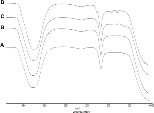 Figure 4 FTIR analysis. (A) Water extract of A. heterophylla, and (B) Purified A. heterophylla, (C) Water extract of P. chilensis, and (D) Purified P. chilensis