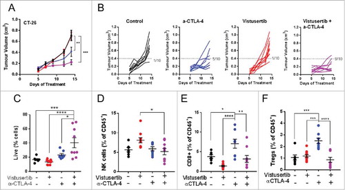Figure 2. Vistusertib combines with αCTLA-4 immune checkpoint blockade to potentiate anti-tumour efficacy in the CT-26 tumour model. (A) Line graph shows average tumour volumes from BALB/c mice bearing CT-26 tumours. (B) Spider plots show individual mouse tumour volumes. (C) Spider plots show individual mouse tumour volumes. (A-B) CT-26 tumour bearing mice were treated with vistusertib, αCTLA-4 or vehicle as indicated from day 1 post implantation. Tumours were analysed by flow cytometry on day 11 after first dose. (C) Scatter bar charts show frequency of CD45+ cells within tumours, (D) frequency of NK cells, (E) frequency of Tregs and (F) frequency of CD8+ T-cells. Error bars represent mean ±SEM, statistical differences were calculated using a 1-way ANOVA with post hoc analysis. n=10 mice per group. Data are representative of ≥2 experiments.