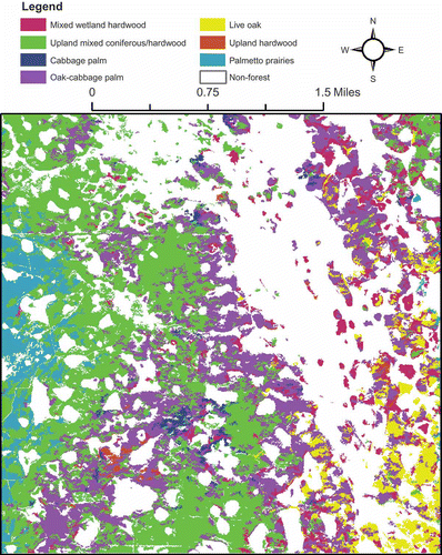 Figure 3. Classification map for the study area (color version available online).