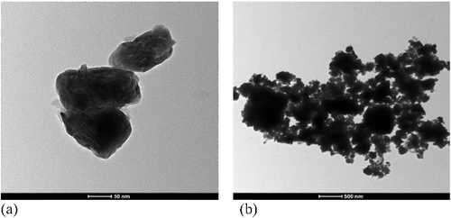 Figure 1. TEM with different magnifications of nano-WS2.